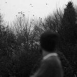 دانلود آهنگ بلد بودمت و تو بلدم بودی حامیم