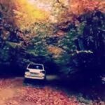 دانلود آهنگ دله غمگین من باز تو آرام میکنی دانلود آهنگ دله غمگین من باز تو آرام میکنی