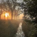 دانلود آهنگ اول و آخرش یکی ست حمیرا