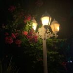 دانلود آهنگ شبام بی تو سردن از این خونه خستم نجاتم بده حمید رخشنده دانلود آهنگ شبام بی تو سردن از این خونه خستم نجاتم بده حمید رخشنده