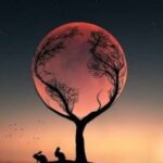 آهنگ برنمیگردیم ما مثه ته قصه ها پس بزار نگات کنم فقط یه بار دیگه اراکوم
