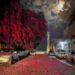 آهنگ دیدی خندیدی موقع رفتن الان کارما اومده بچه کنه خفت