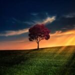 آهنگ بعد تو این دل رسوا به کسی دل نمیبنده