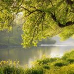 آهنگ دو واره اسمان دیل پور ابو فریدون پوررضا