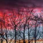 آهنگ دو سه شبه که چشمام به دره خدا کنه که خوابم نبره جهان