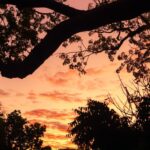 آهنگ خسته نشو  هنوز همه درا روما بسته نشد ایلیار