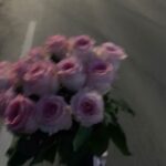 آهنگ گربه دستش نمیرسه به بوش میگه پیف پیف آهنگ گربه دستش نمیرسه به بوش میگه پیف پیف