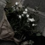 آهنگ دیگه هیچ رابطه ای منو آدم نکرد آهنگ دیگه هیچ رابطه ای منو آدم نکرد