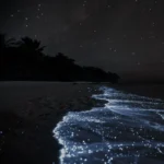 آهنگ Forget about your boyfriend (Hotel Room) آهنگ Forget about your boyfriend (Hotel Room)