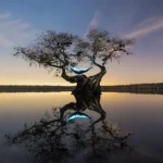 آهنگ ای که به عشقت زنده منم گفتی از عشقت دم نزنم