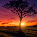 آهنگ غریب آشنا دوست دارم بیا آهنگ غریب آشنا دوست دارم بیا