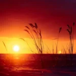 آهنگ منو همرات ببر به شهر قصه ها