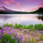 آهنگ کاش فقط تورو واسه یه لحظه داشتم چون دلم تنگه واست ریاشن