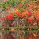 آهنگ آمارتو دارم این روزا یه وقت بهت بد نگذره ماهیار