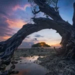 آهنگ من از هرچی گذشتم به عشق تو رسیدم وحید نامدار