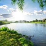 آهنگ ای عشق فراموش شده در دل خاطراتم علیرضا قندچی آهنگ ای عشق فراموش شده در دل خاطراتم علیرضا قندچی