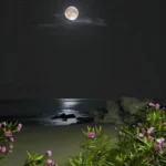 آهنگ الکی نگو به من دیگه حسی نداری (بی لیاقت)