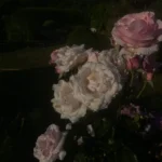 آهنگ با پسره میرقصی فکر کنم زیاد مستی