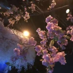 آهنگ دروغ چرا یکمی سخت شد نبودی دل صافم کج شد نبودی