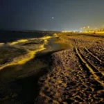 آهنگ تو چرا چون میکنی قصد جانم میکنی گیسو پریشان (ترند اینستا)